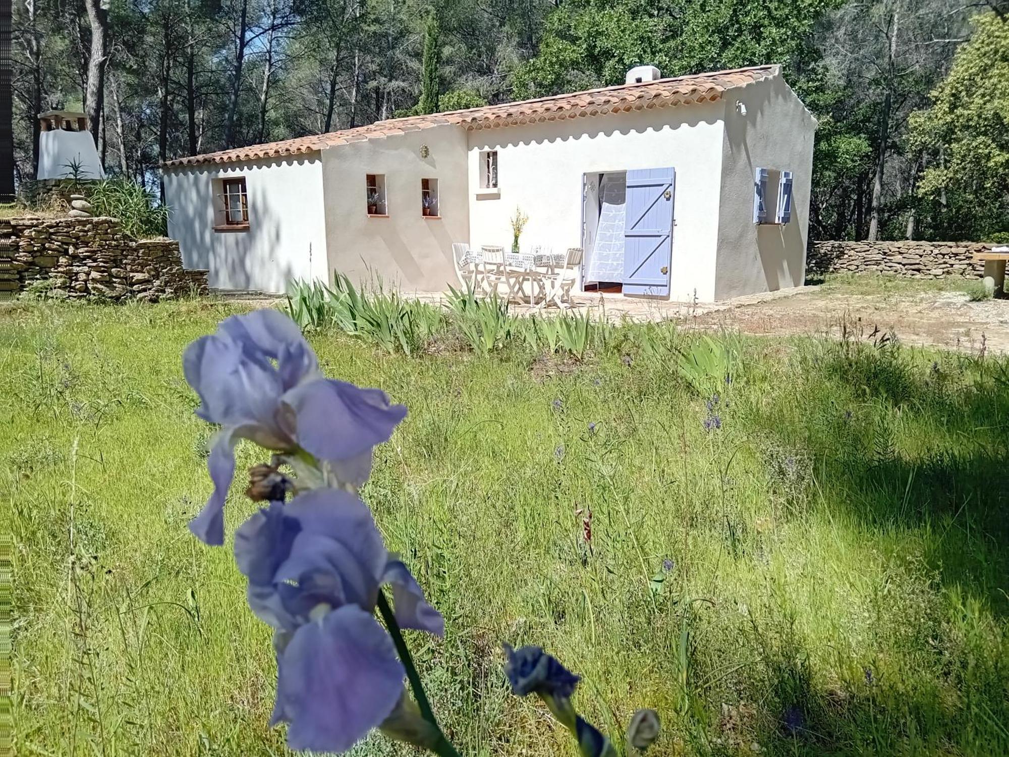 La Maison Du Rouquet Le Beausset Kültér fotó